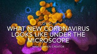 What New COVID-19 Coronavirus Looks Like Under The Microscope | 4K