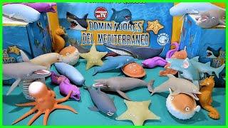 DOMINADORES DEL MEDITERRANEO  - JUGUETES BLANDITOS -