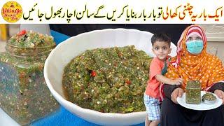 Tamatar Payaz Pudina Chutney Recipe | Chutney Banane Ki Recipe | Tomato Chatni by Village Handi Roti