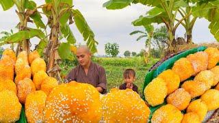 Thầy Lâm Chia Sẻ Cách Làm BÁNH TIÊU,Rất Dễ,Tiện Lợi Cho Gia Đình Khi Làm Tại Nhà | Bếp Chay Thầy Lâm