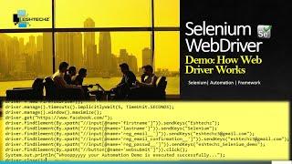 Demo: How Web Driver works || Selenium Automation Basics