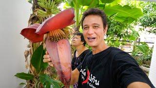 Eating Banana Flower!!   Plant Based Thai Food Recipe!!