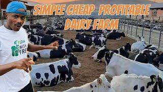 How to start a simple,cheap and profitable dairy farm