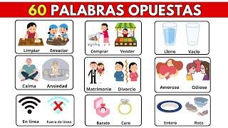 Opposite Words in Spanish | palabras opuestas | Antónimos en Español | Palabra opuesta en español