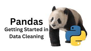 6 Pandas Data Cleaning Getting Started