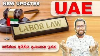 UAE New Labour Law 2022 | UAE Visit Visa | Dubai Work Permit | New Low Updates | Dubai | SL TO UK