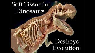 Soft Tissue in Dinosaurs Destroys Evolution! | The Ark and the Darkness | Biblicaltours