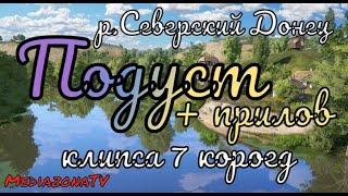 #рр4 р.Северский Донец  Подуст + прилов 19.06