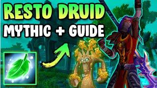 How to Play Resto Druid in Mythic+ Patch 11.1 Guide