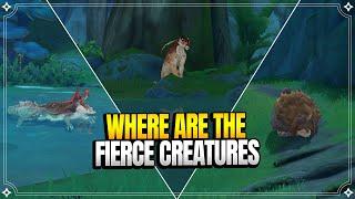 Where Are the Fierce Creatures? | World Quests & Puzzles |【Genshin Impact】