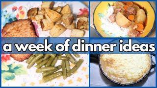 EASY WEEK NIGHT DINNERS | What’s For Dinner? #350 | 1-WEEK OF REAL LIFE MEALS