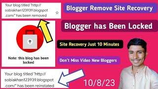 blogger has been removed problem 2023 | blogger website locked problem | this blog has been lockek