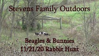 Beagles & Bunnies  11 21 20 - Rabbit Hunt - Stevens Family Outdoors