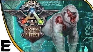 ARK Update  SURVIVAL OF THE FITTEST, New KING KONG BOSS, Microraptor & More!