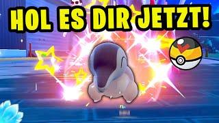 Hol dir SHINY FEURIGEL in deinem Lieblings-Pokeball in Pokemon Karmesin & Purpur!