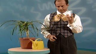 Helping Mr. Noodle with Elmo and Sheen: Watering the Plant