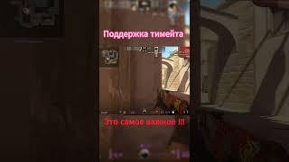 А ты поддерживаешь тимейтов ?#csgo #cs2 #тимейты #юмор #юмористическийконтент