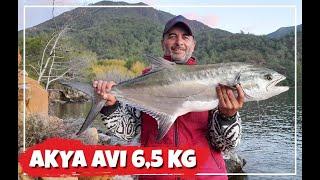 KIYIDAN AKYA AVI 6,5 KG