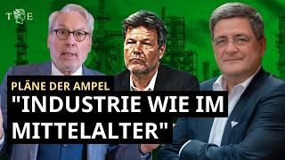 Die Ampel macht Deutschland ärmer: Interview mit Prof. Fritz Vahrenholt