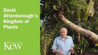 David Attenborough's Kingdom of Plants: Introduction