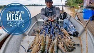 MEMANCING UDANG GALAH GORGON PALOH HINAI / Part 2 #prawnfishing #mancingudang