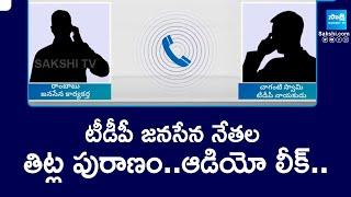 TDP Janasena Activists Fight Phone Call Leaked | TDP Janasena Audio Leaked |@SakshiTV