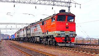 Railway. Soviet Diesel locomotive 3TE10M with freight train / Тепловоз 3ТЭ10М с грузовым поездом