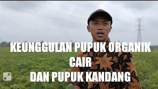 PORANG TANPA NAUNGAN MDPL RENDAH