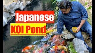 Back to Nature | Living in a Beautiful Home | Nature Aquarium | Japanese Koi Fish Pond | Part 2