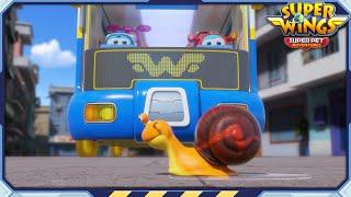 [SUPERWINGS7] Fastest Snail in the World | Superwings Superpet Adventures  | Super Wings | S7 EP37