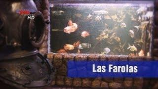 Las Farolas: The Fish World