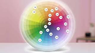 SHINEFINITY Numbering System