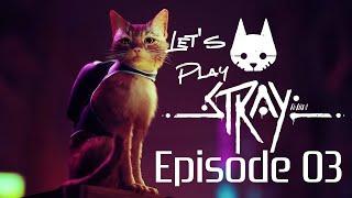 Stray - 03 - Outsiders