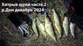 Хитрые щуки часть 2 ночная подводная охота р.Дон декабрь 2024 ночная охота на щук 2024 dji mic mini