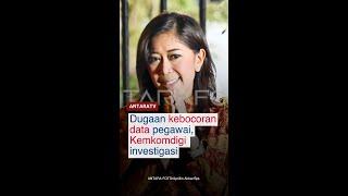 Dugaan kebocoran data pegawai, Kemkomdigi investigasi