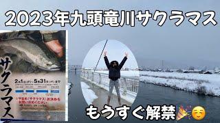 (2023年九頭竜川サクラマス)解禁3日前状況　part1今年は絶対釣るぞー