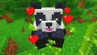 I finally found a panda in minecraft (how to tame)