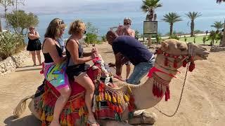 Holy Land Pilgrimage - Dead Sea camel ride (Chris and Mary Beth 10-17-21)