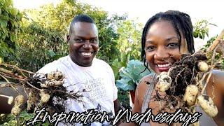 Inspiration Wednesdays || Featuring Your Gardens || Episode #13