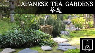 The Beginner's Guide to the Japanese Tea Garden | The Shade Gardens of Chaniwa and Roji