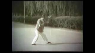 Tian Xiuchen 田秀臣 (1917-1984), student of Chen Fake, performs Chenstyle xinjia.