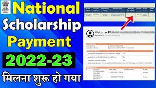 National Scholarship Payment New Update 2022-23 | Check NSP Payment Status PFMS Payment Success