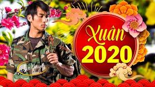 Xuân này con không về - ĐAN NGUYÊN | Nhạc Xuân Hải Ngoại 2020 Buồn Nhất Xa Nhà Cấm nghe Về Đêm