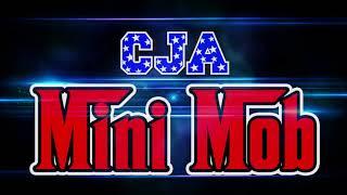 CJA Mini Mob 2024 2025 Mix