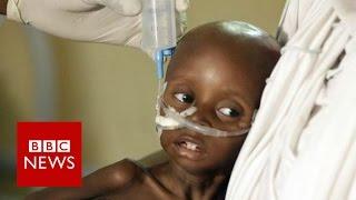 Humanitarian crisis: 20m at risk of famine and starvation - BBC News