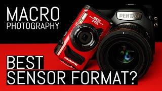 Small Sensors for Small Subjects? Which Sensor Format to Choose for Macro Photography