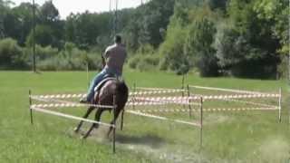 Mlake 2012 - (Horse riding skills)