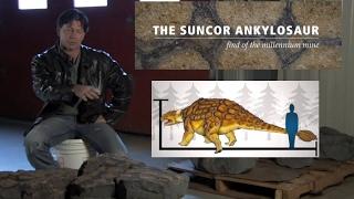 Discovery of Ankylosaur at Suncor's Millennium Mine