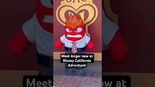 You can now meet Anger at Disney! // Disney California Adventure #insideout2 #pixarfest