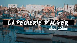 La Pécherie d'alger - Video Cinèmatique / سماكة الجزائر